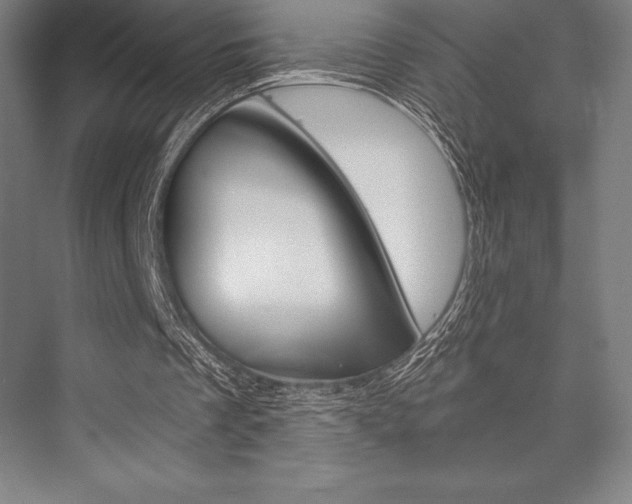 X0000076430289200610061006