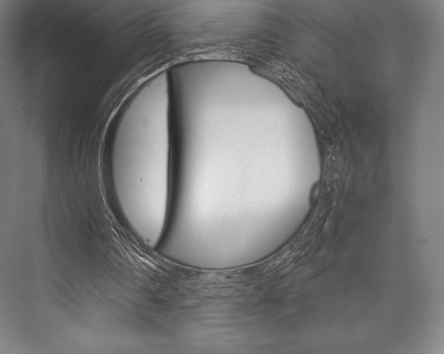 X0000076430290200610061006