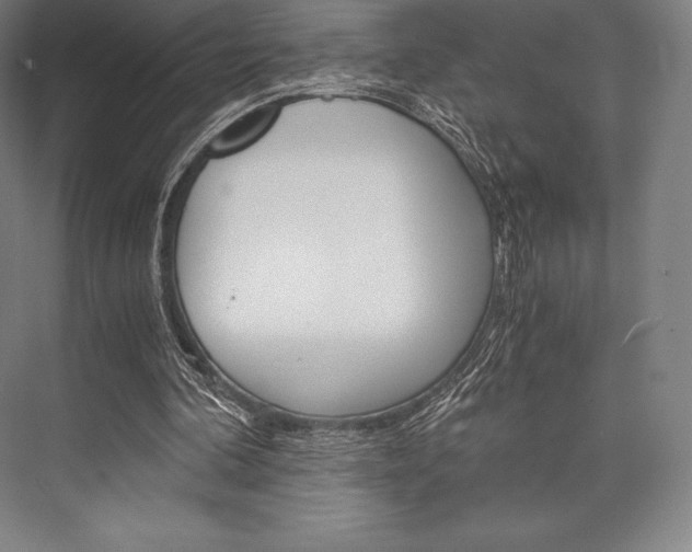 X0000076430292200610061006