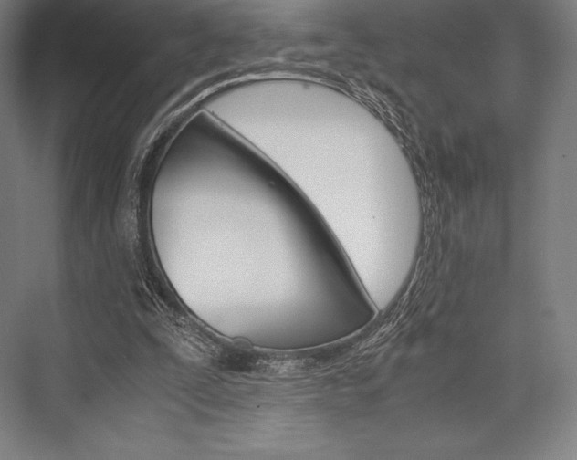 X0000076430295200610061006