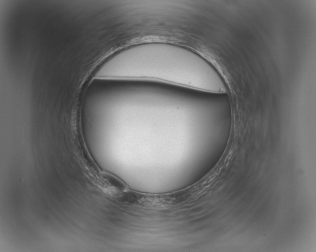X0000076430297200610061006
