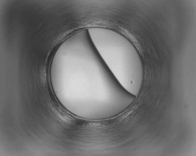 X0000076430298200610061006