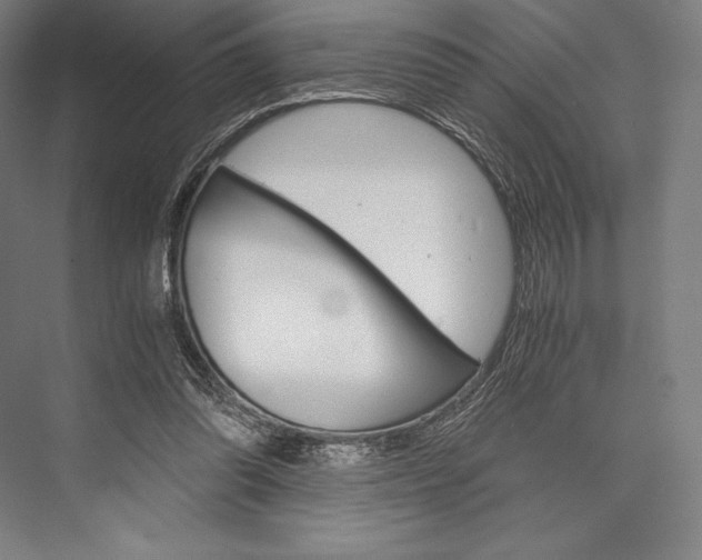 X0000076430302200610061006
