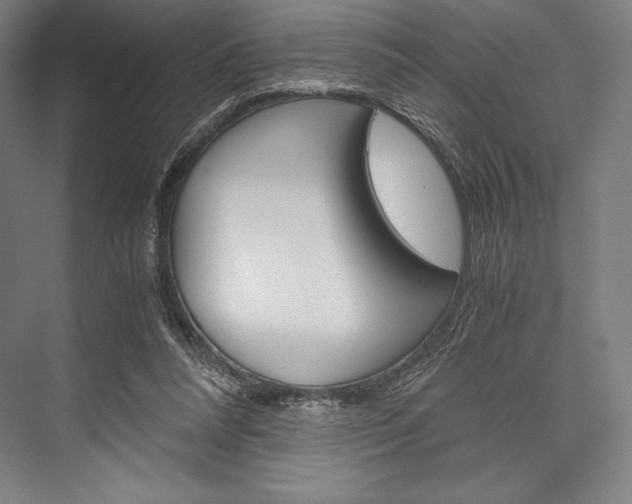 X0000076430304200610061006
