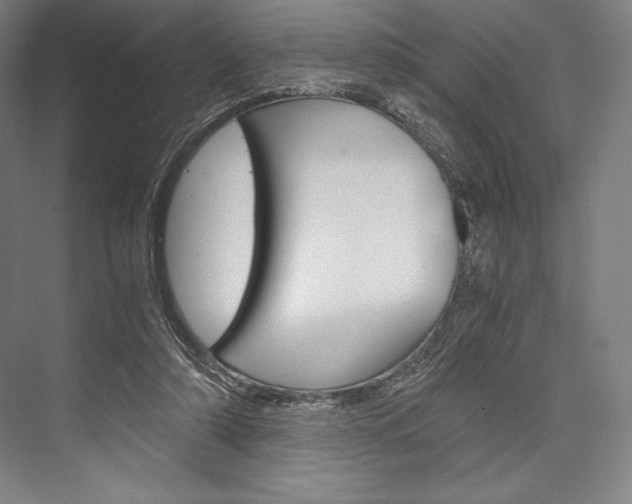 X0000076430306200610061006