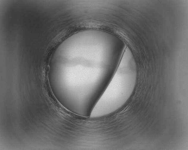 X0000076430309200610061006