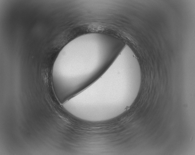 X0000076430315200610061006