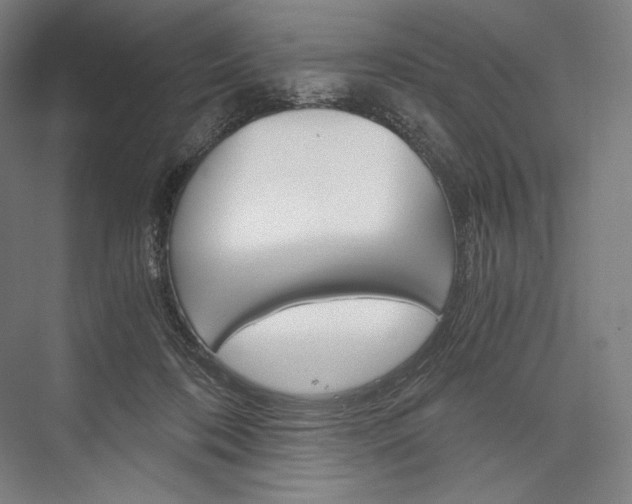 X0000076430316200610061006