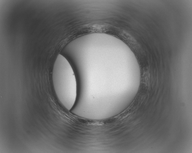 X0000076430318200610061006
