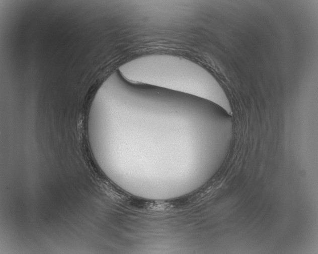 X0000076430321200610061006
