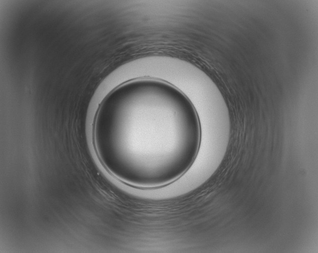 X0000076430323200610061006