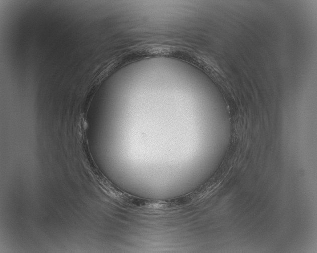 X0000076430325200610061006