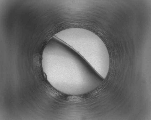 X0000076430331200610061006