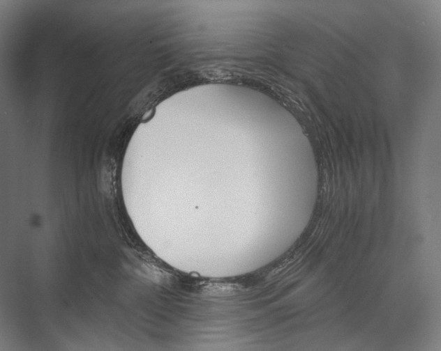 X0000076430332200610061006