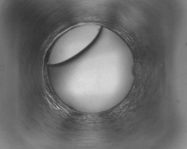 X0000076430338200610061005