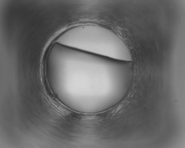 X0000076430342200610061005
