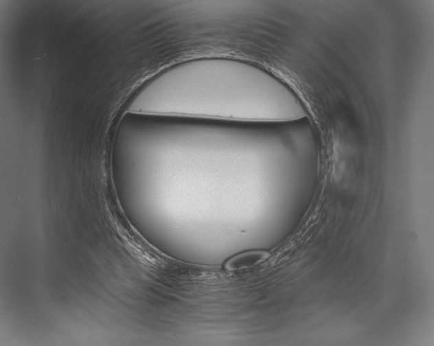 X0000076430345200610061005
