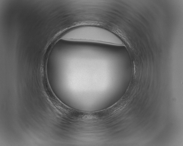X0000076430348200610061005