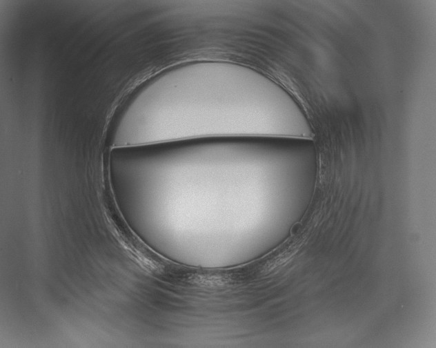 X0000076430349200610061005