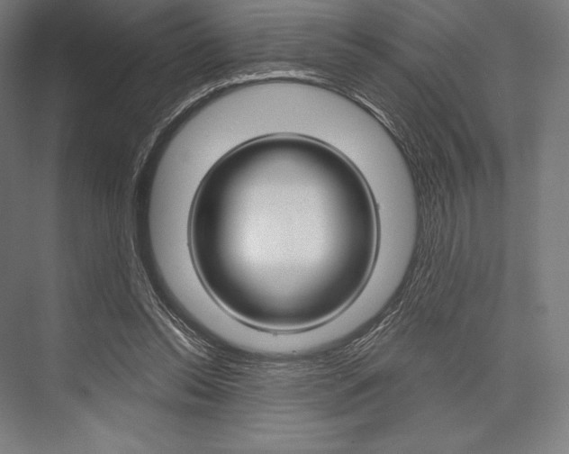 X0000076430350200610061005