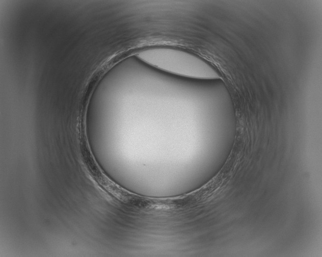 X0000076430352200610061005