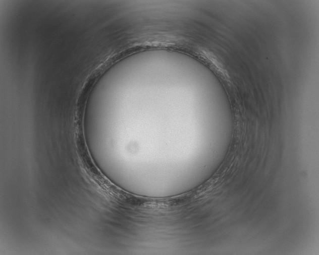 X0000076430354200610061005