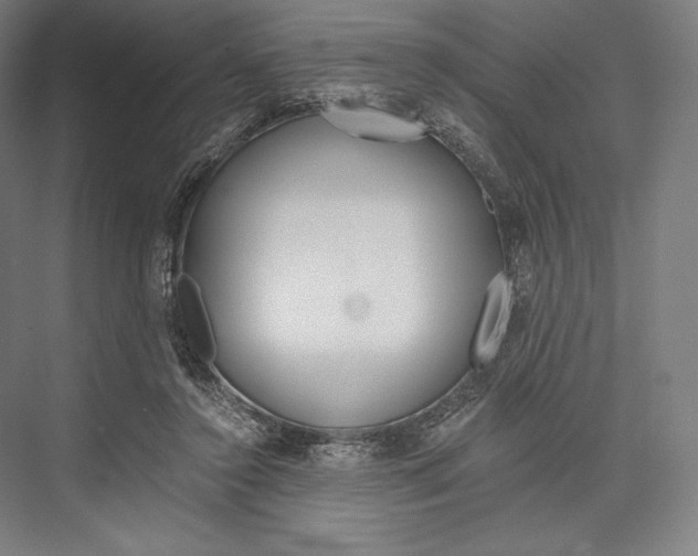 X0000076430356200610061005