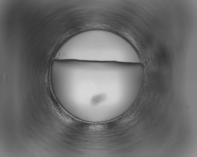 X0000076430357200610061005