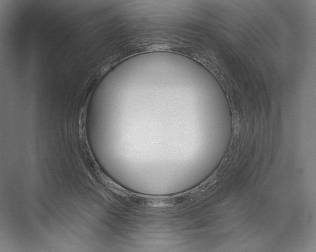 X0000076430360200610061005