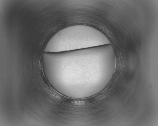 X0000076430361200610061005