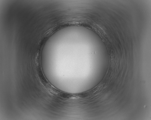 X0000076430364200610061005