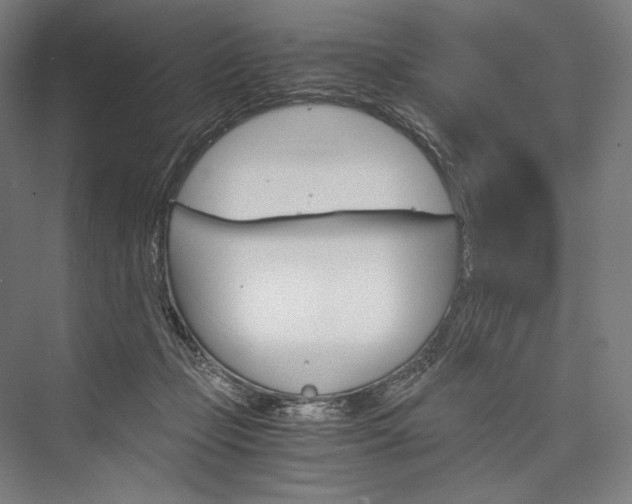 X0000076430365200610061005