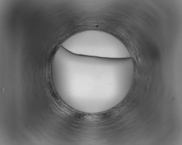 X0000076430367200610061005
