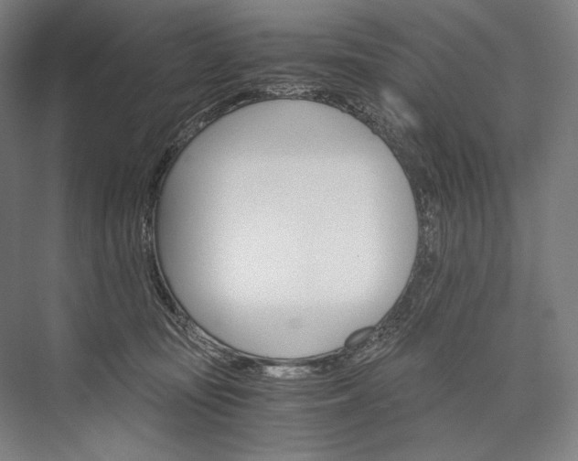 X0000076430371200610061005