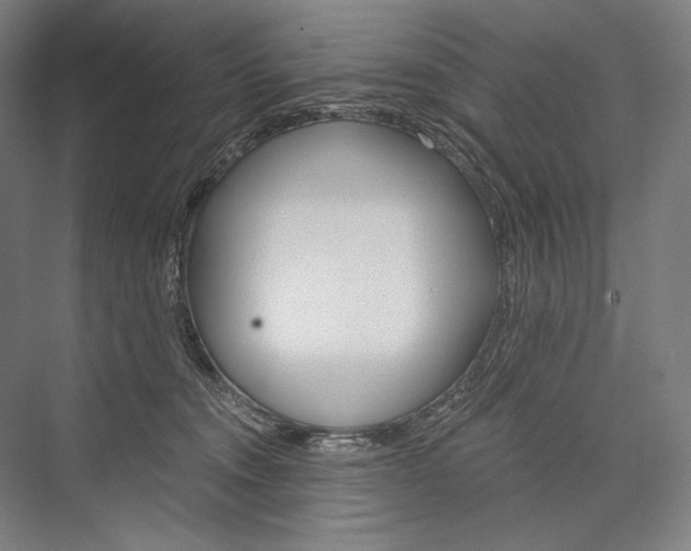 X0000076430372200610061005