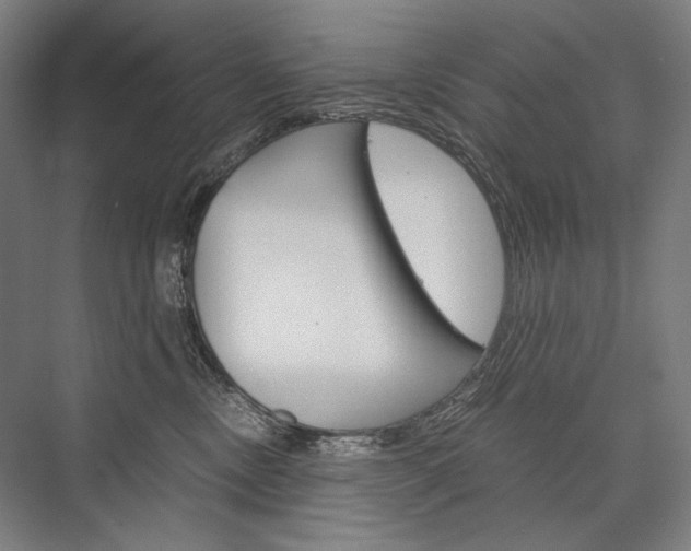 X0000076430378200610061005
