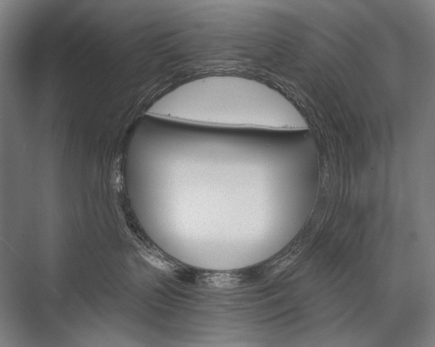 X0000076430383200610061006
