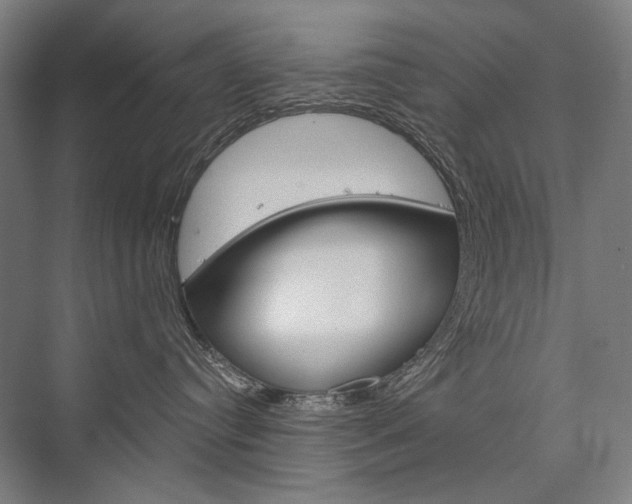 X0000076430384200610061006