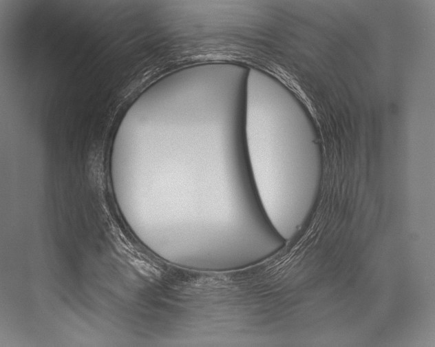 X0000076430386200610061005