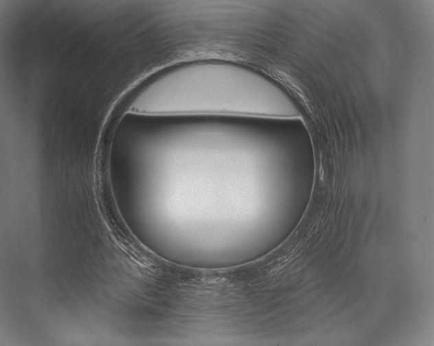 X0000076430388200610061005