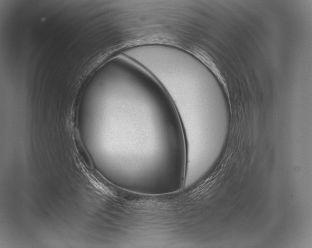 X0000076430389200610061005