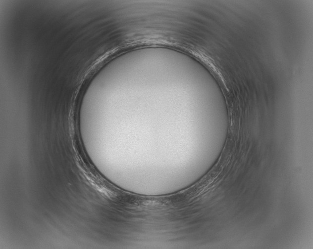 X0000076430390200610061005