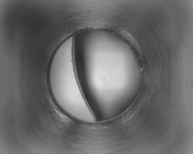 X0000076430393200610061005