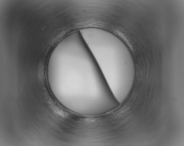 X0000076430394200610061005