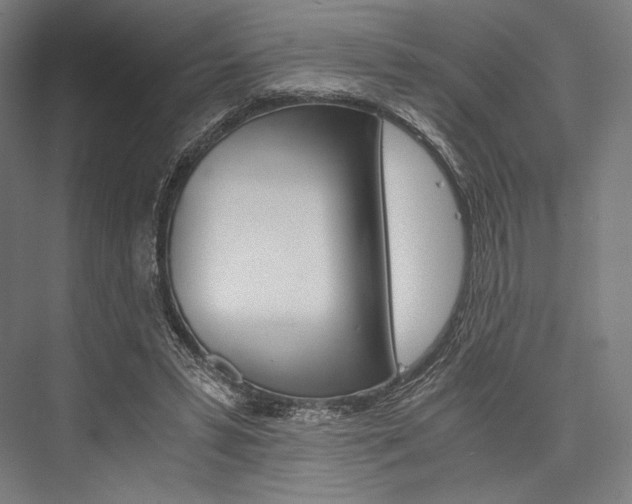 X0000076430399200610061005