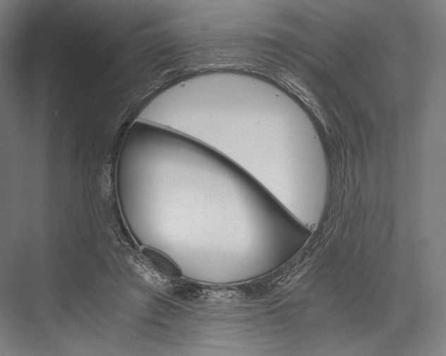 X0000076430401200610061004