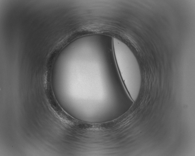 X0000076430404200610061004
