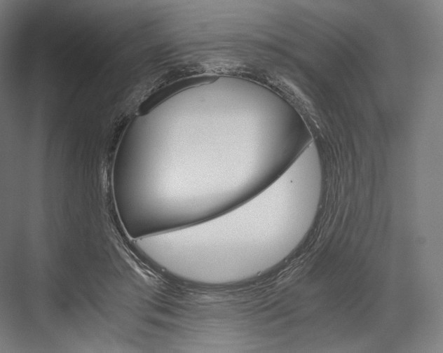 X0000076430405200610061004