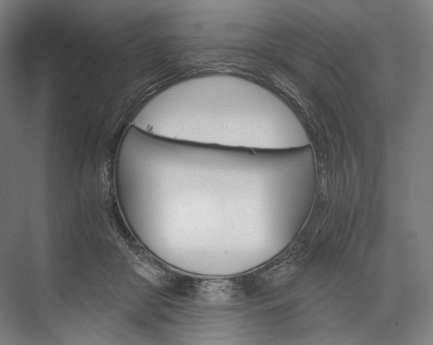 X0000076430410200610061004