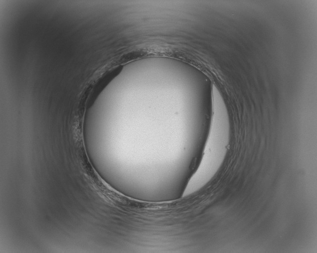 X0000076430411200610061004